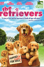 Amigos de Ouro (The Retrievers)