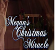 Megan"s christmas miracle