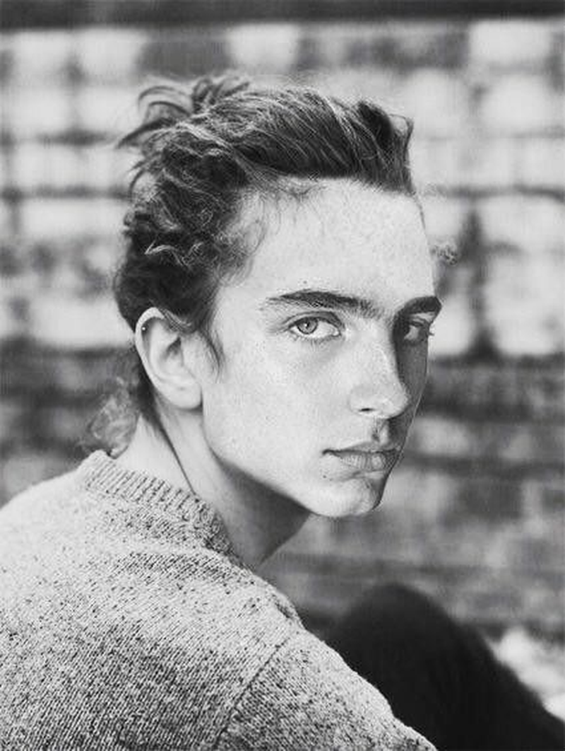Timothée Chalamet - Foto 5