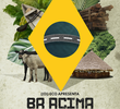 BR Acima de Tudo