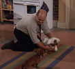 Norm Pimps Wiener Dog