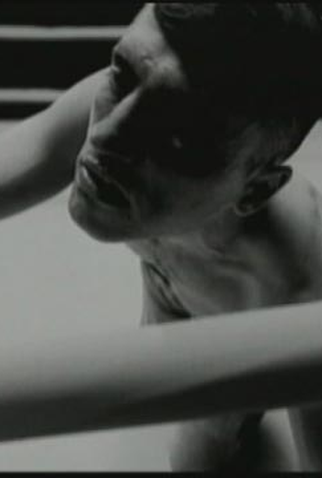 Poster 1 de Curta La Lona (1995)