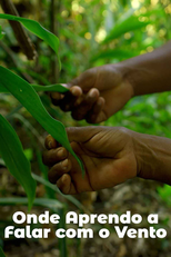 Onde Aprendo a Falar com o Vento (Onde Aprendo a Falar com o Vento)