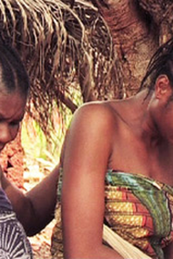 Poster de Filme The Narrow Path (2007)