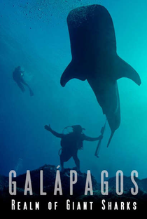 Galápagos: Reino dos Tubarões Gigantes - Poster / Capa / Cartaz - Oficial 1
