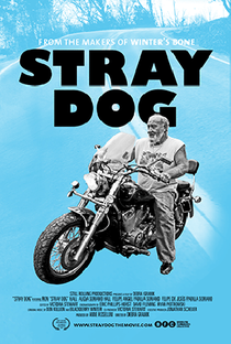 Stray Dog - Poster / Capa / Cartaz - Oficial 1