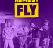 Almost Fly