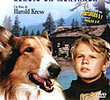 Lassie - Heróis da Montanha 