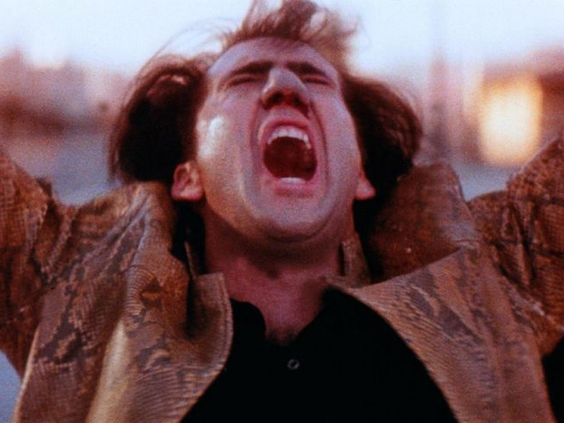 Foto 23 de Coração Selvagem