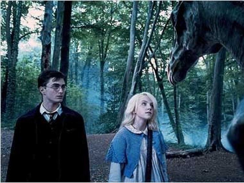 Foto 13 de Harry Potter e a Ordem da Fênix