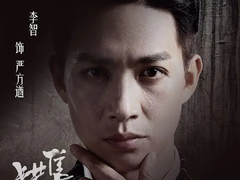 Foto 5 de Saker Falco