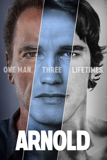 Poster de Franquia Arnold (2023)