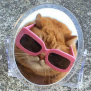 Foto de perfil de Biba Topper