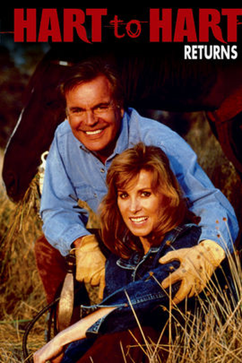 Poster de Filme A Volta do Casal 20 (1993)