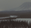 Worlds Apart