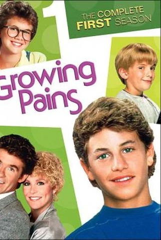 Poster 2 de Série Tudo em Família (1ª Temporada) (1985)