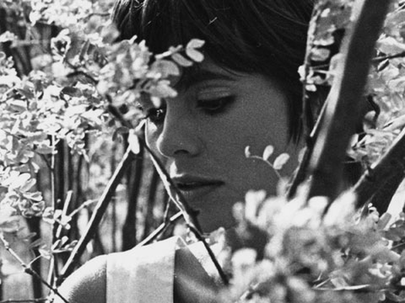 Foto 5 de Asfalttilampaat