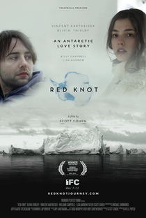 Red Knot - Poster / Capa / Cartaz - Oficial 1