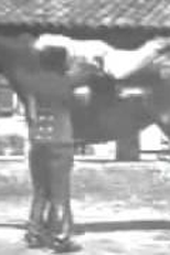 A Acrobacia (La Voltige)