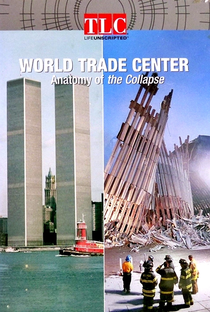A Queda do World Trade Center - Poster / Capa / Cartaz - Oficial 1