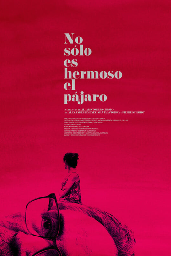 Poster de Filme Não Só o Pássaro é Bonito (2023)