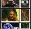 Bug
