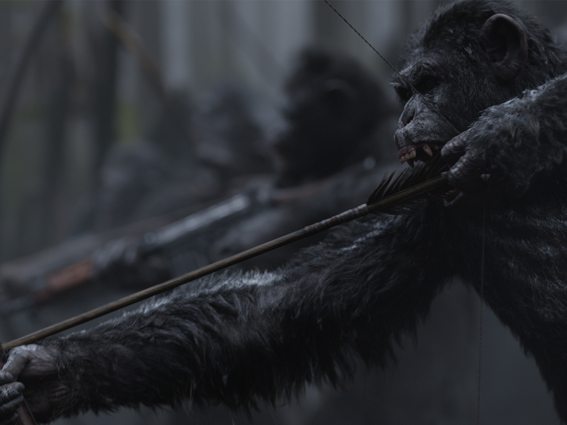 Foto 3 de Planeta dos Macacos: A Guerra