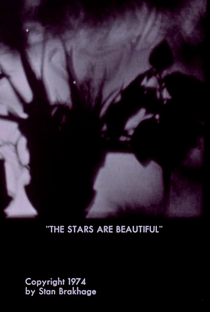 The Stars Are Beautiful - Poster / Capa / Cartaz - Oficial 1