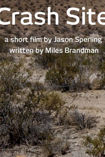 Poster de Curta Crash Site  (2013)