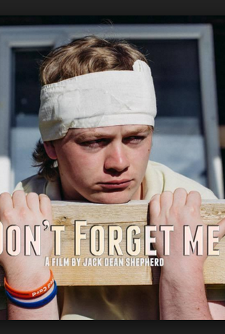 Poster 1 de Filme Don't Forget Me (2016)