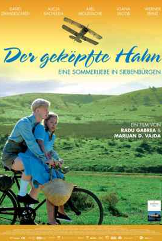 Poster 2 de Filme The Beheaded Rooster     ( Der Geköpfte Hahn ) (2007)