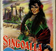 Fúria Cigana