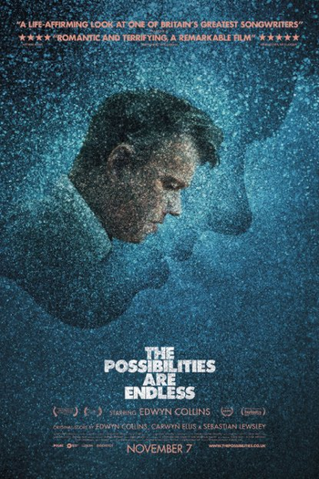 Poster de Filme The Possibilities Are Endless (2014)