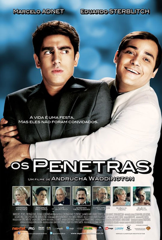 Poster 2 de Filme Os Penetras (2012)