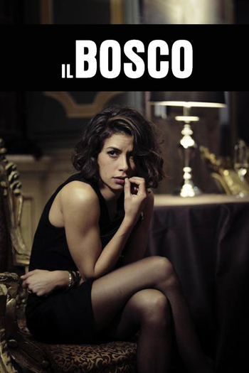 Poster de Franquia Il bosco (2015)