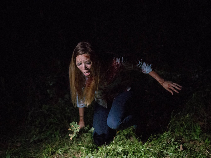 Foto 1 de Found Footage 3D