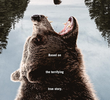 Urso Sangrento: A Noite do Terror
