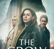 The Crow Girl