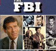 The F.B.I. (1ª Temporada)