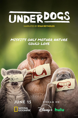 Underdogs - Coadjuvantes Selvagens (1ª Temporada) (Underdogs (1º Season))