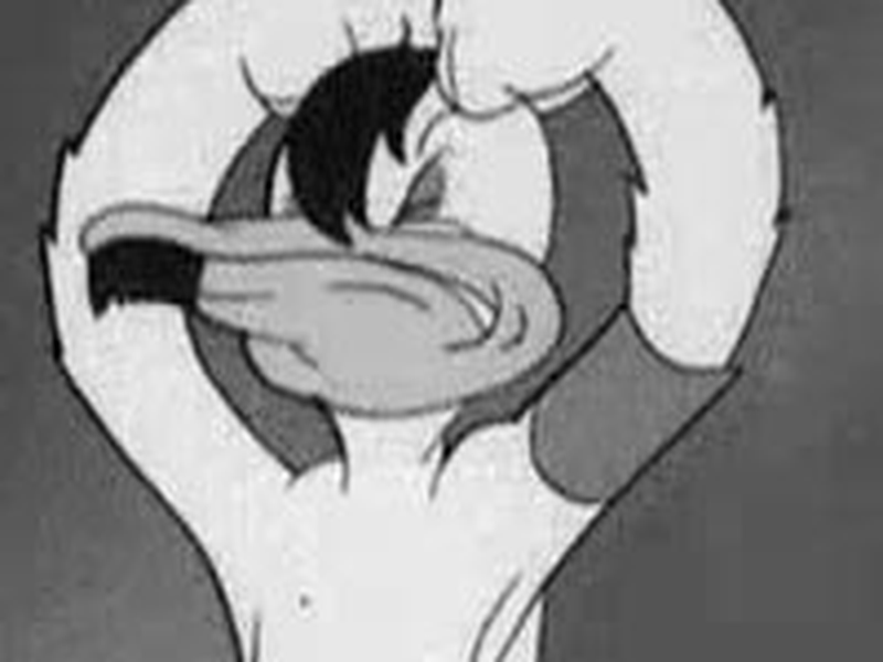 Foto 1 de The Ducktators