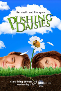 Pushing Daisies (1ª Temporada) - Poster / Capa / Cartaz - Oficial 1