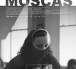 Moscas