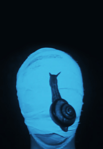 Smallpox Tale (Hoso-tan)