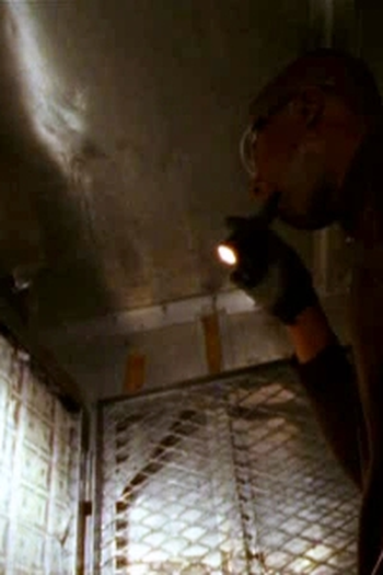 Poster de Episódio Flight (2006)
