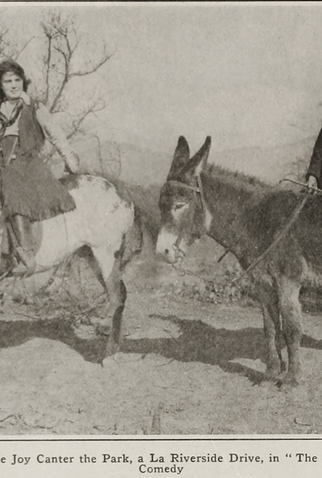 Poster 3 de Curta The Stranger (1918)