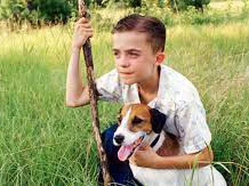 Foto 2 de Meu Cachorro Skip