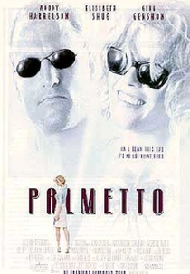 Crime em Palmetto (Palmetto)