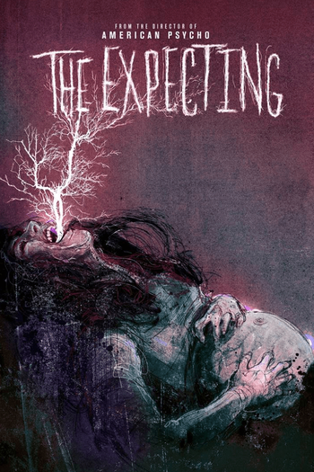 Poster de Série The Expecting (1ª Temporada) (2020)