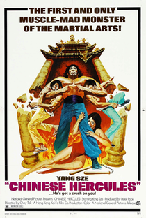 A Volta do Dragão Chinês - Poster / Capa / Cartaz - Oficial 1